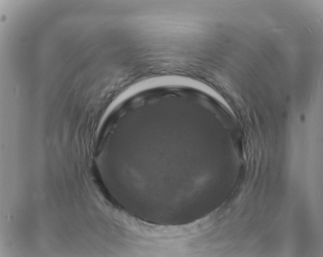 X0000088030031200705182036