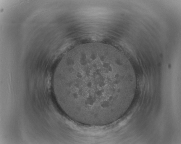 X0000088030032200705182036