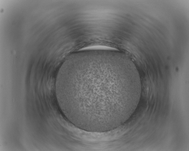 X0000088030034200705182036