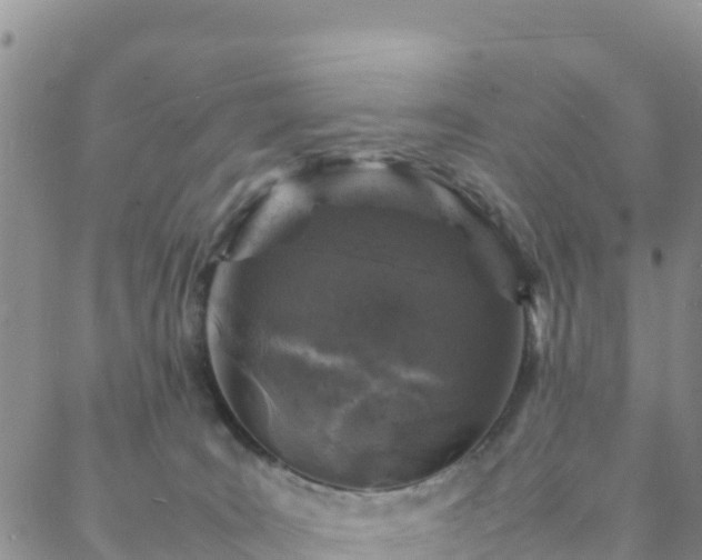 X0000088030035200705182036