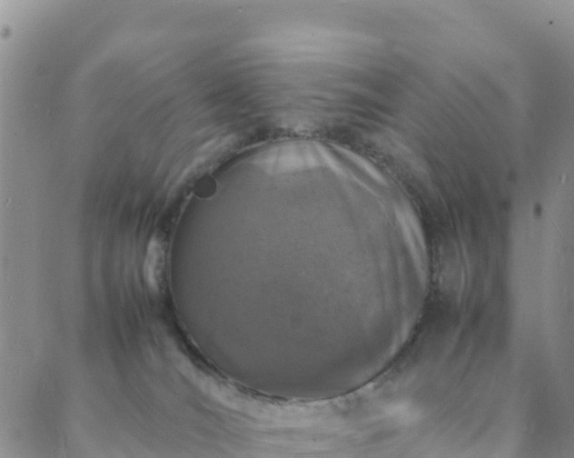 X0000088030036200705182036