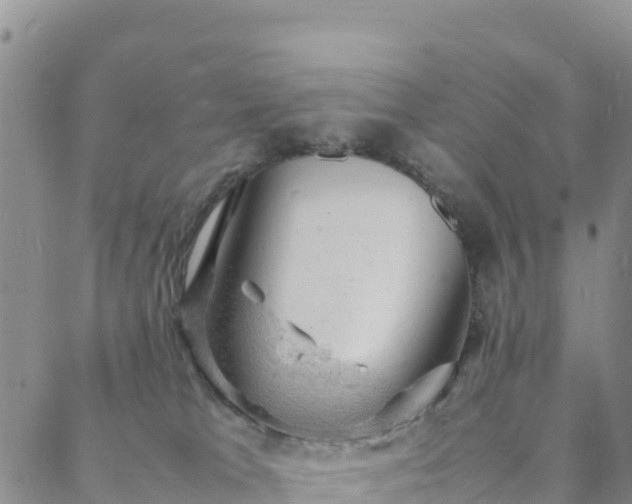 X0000088030037200705182036