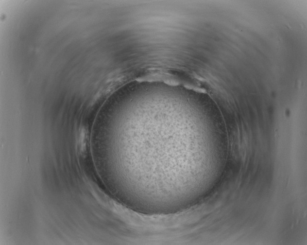 X0000088030038200705182036