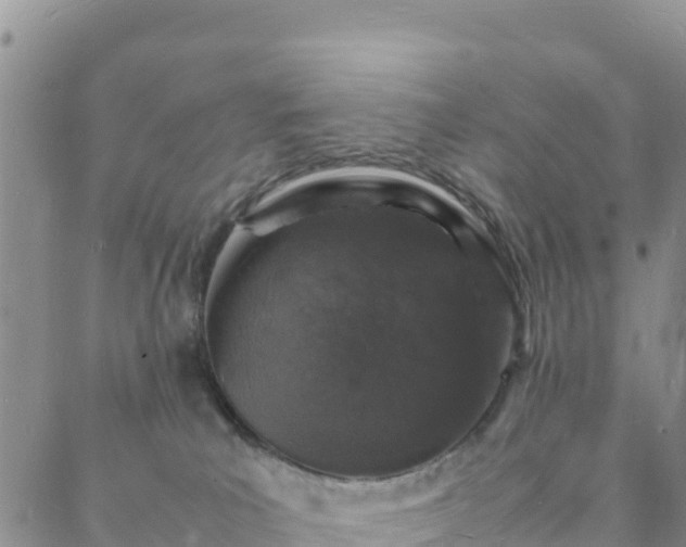 X0000088030039200705182036