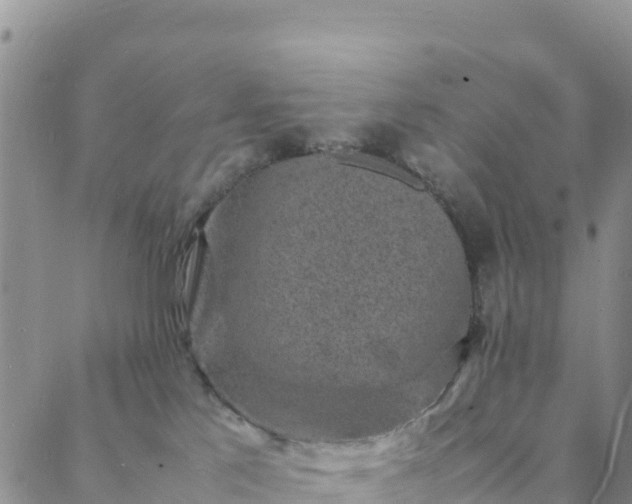 X0000088030041200705182036