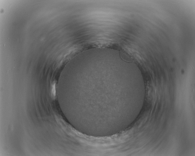 X0000088030042200705182036