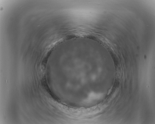 X0000088030043200705182036