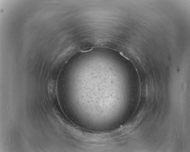 X0000088030044200705182036