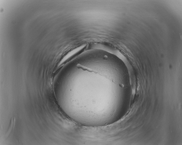 X0000088030045200705182036