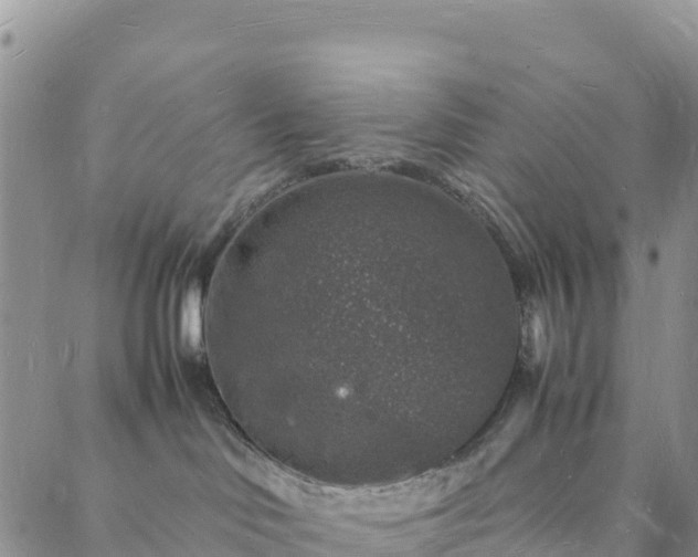 X0000088030046200705182036