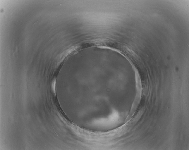 X0000088030047200705182036