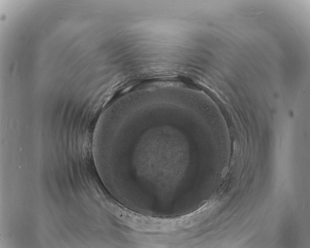 X0000088030048200705182036