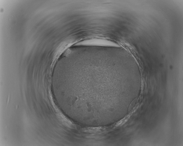 X0000088030049200705182035