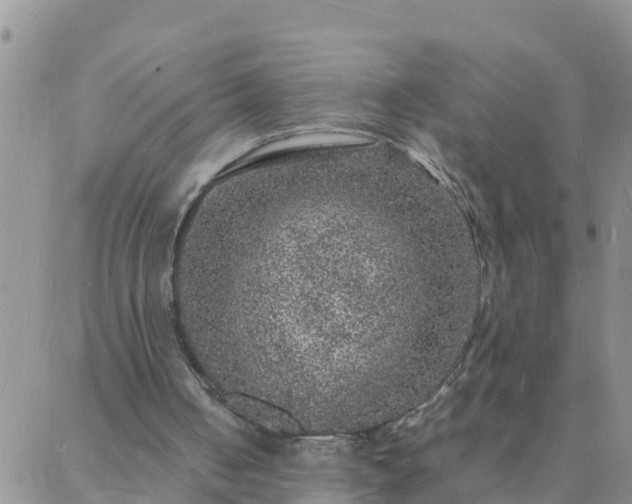 X0000088030050200705182035