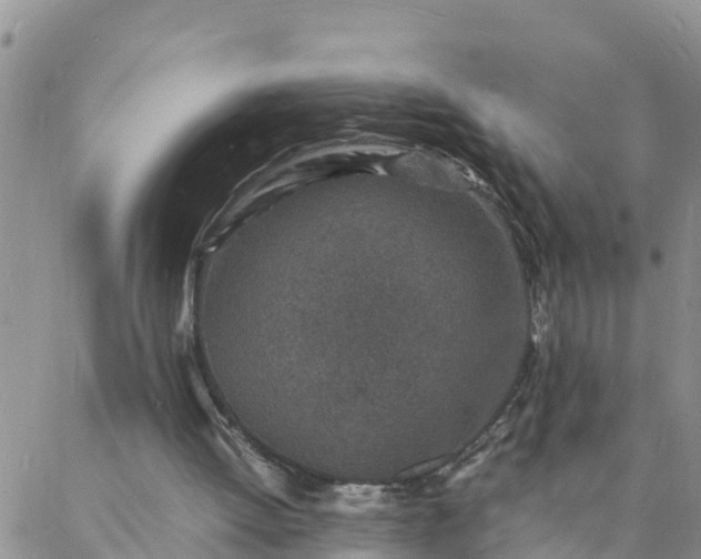 X0000088030052200705182035