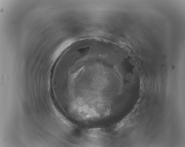 X0000088030054200705182035