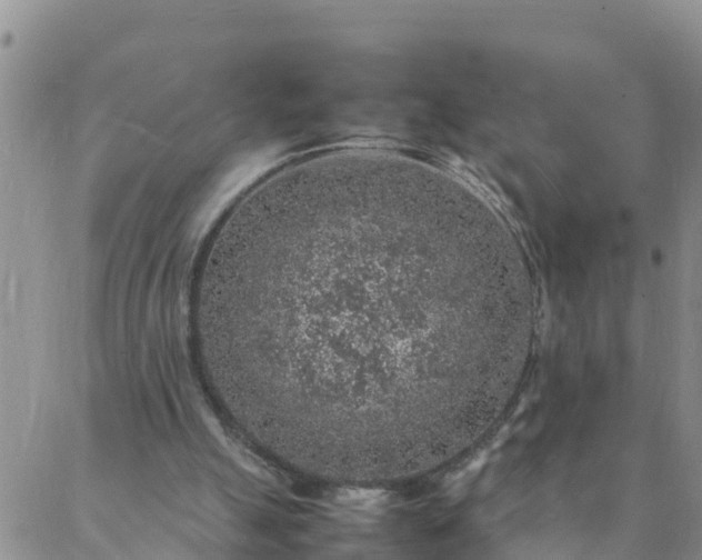 X0000088030055200705182035