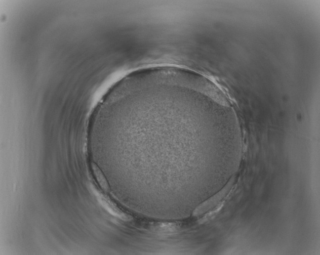 X0000088030056200705182035