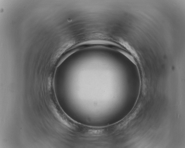 X0000088030057200705182036