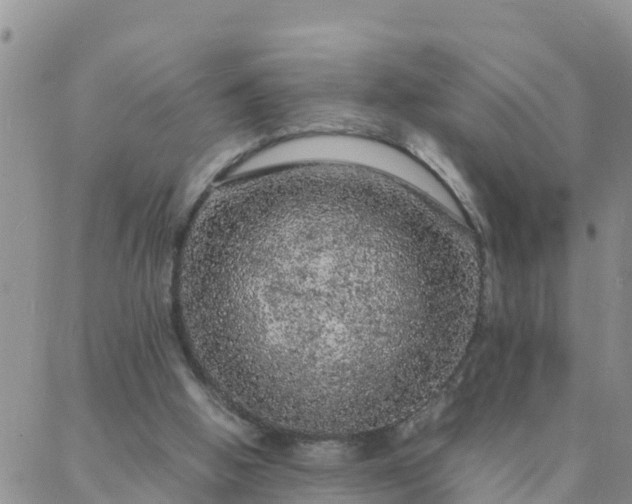 X0000088030058200705182036