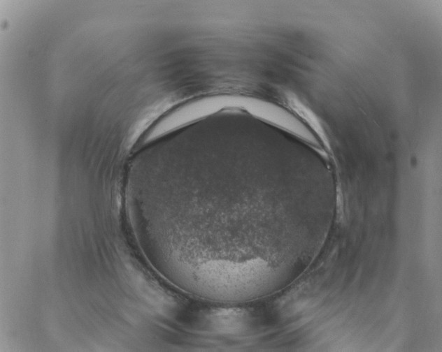 X0000088030059200705182036