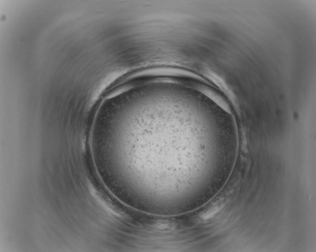 X0000088030060200705182036