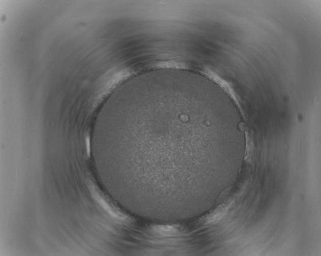 X0000088030061200705182036