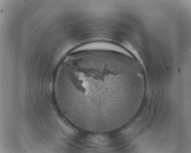 X0000088030063200705182036