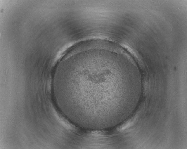 X0000088030064200705182036