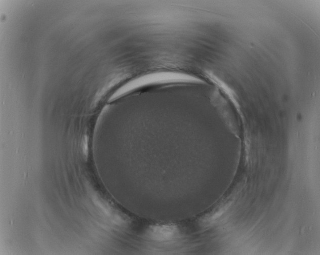 X0000088030067200705182036