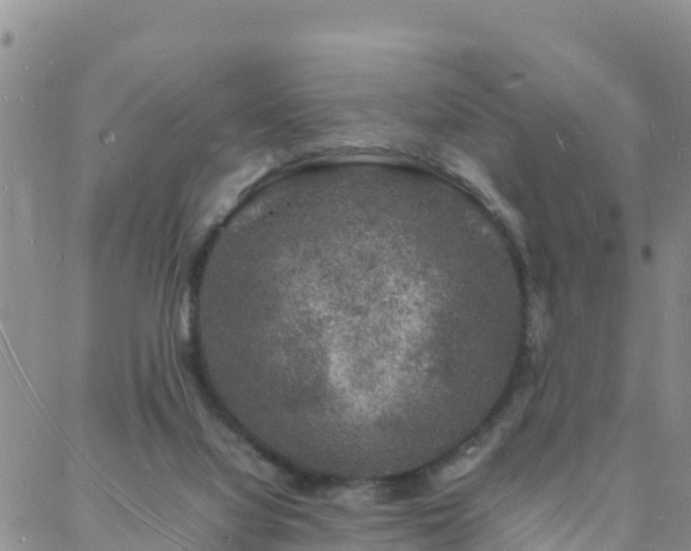 X0000088030068200705182036