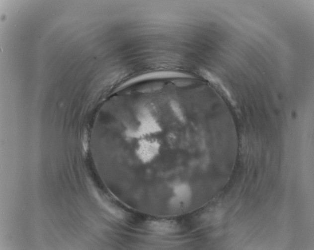 X0000088030069200705182036