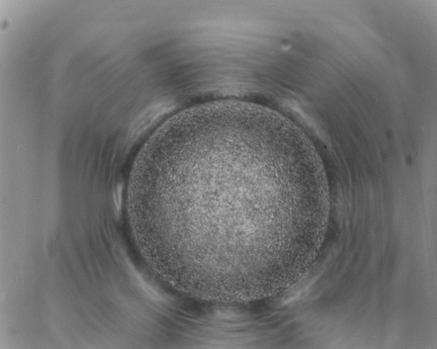 X0000088030070200705182036