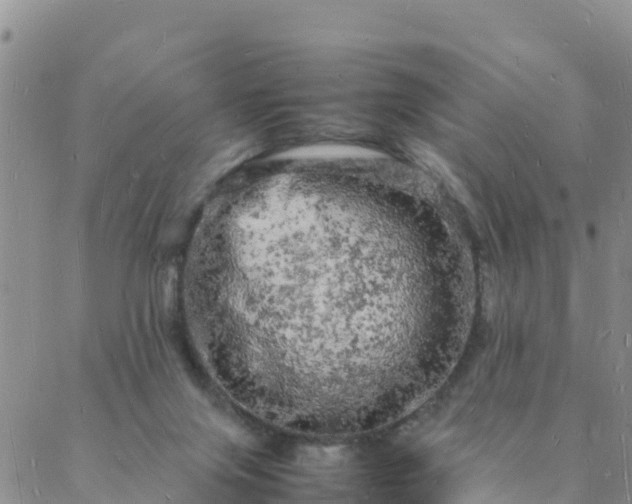 X0000088030071200705182036