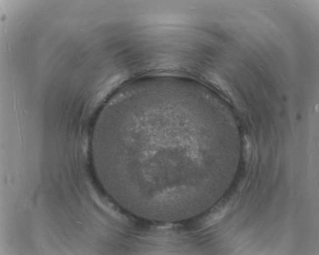 X0000088030072200705182036