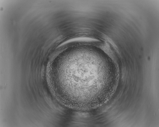 X0000088030073200705182036