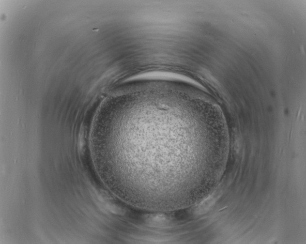 X0000088030074200705182036