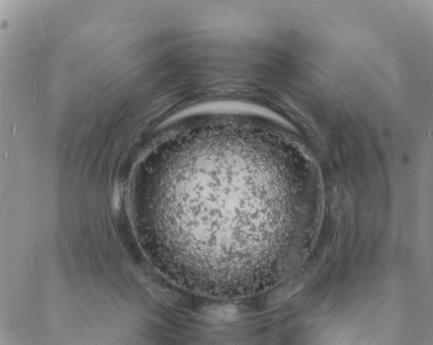 X0000088030075200705182036