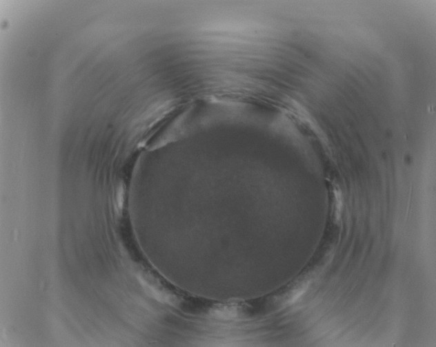 X0000088030076200705182036