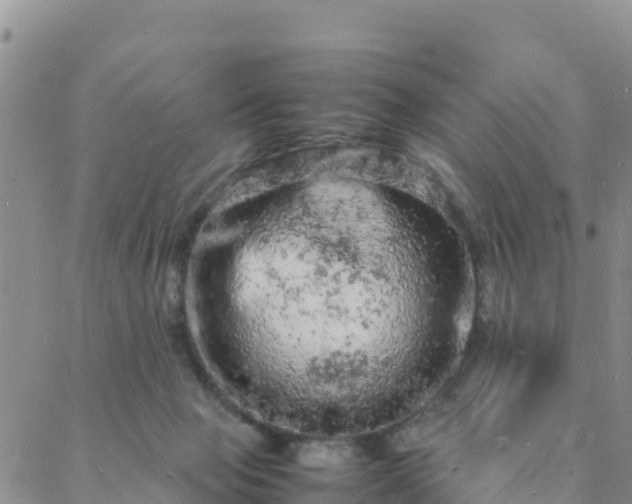 X0000088030077200705182036