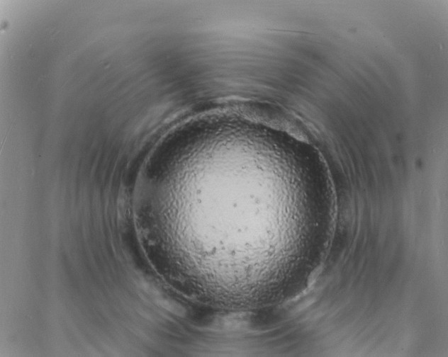 X0000088030078200705182036