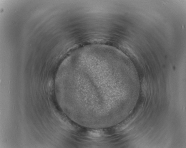 X0000088030079200705182036