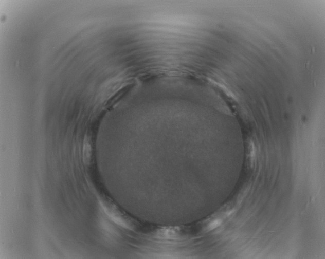 X0000088030080200705182036