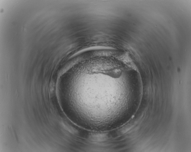 X0000088030081200705182036