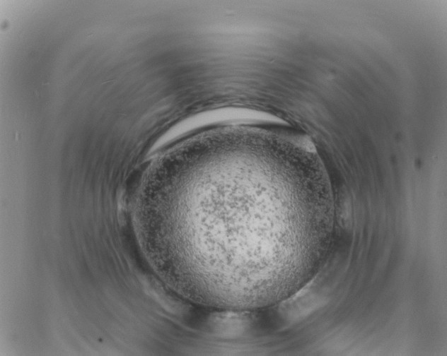 X0000088030082200705182036