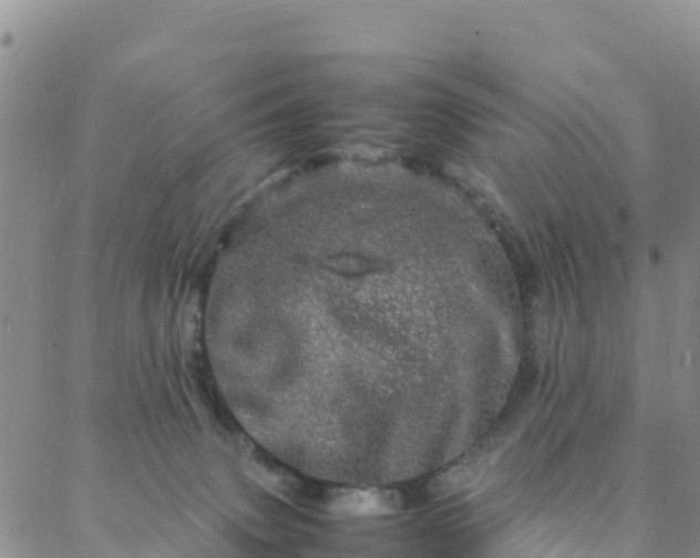 X0000088030083200705182036