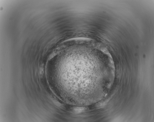 X0000088030085200705182036