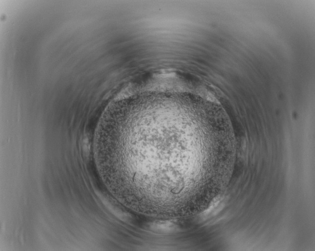 X0000088030086200705182036