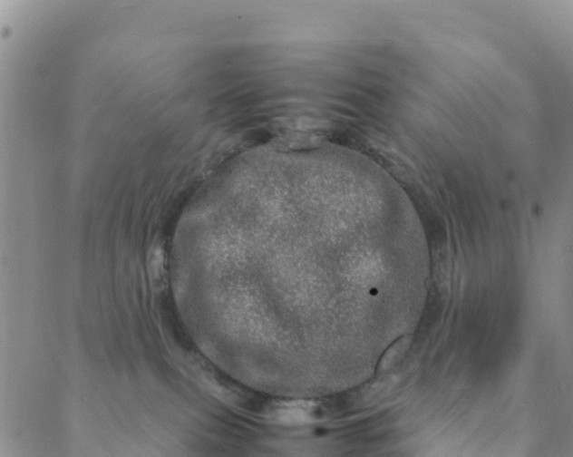 X0000088030087200705182036