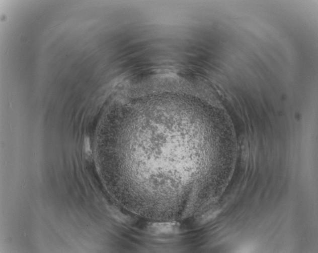 X0000088030089200705182036